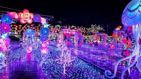 温泉宿を拠点に楽しむ冬の夜空を彩る【イルミネーション＆ライトアップ情報】、キュレーションサイトを大江戸温泉物語が公開