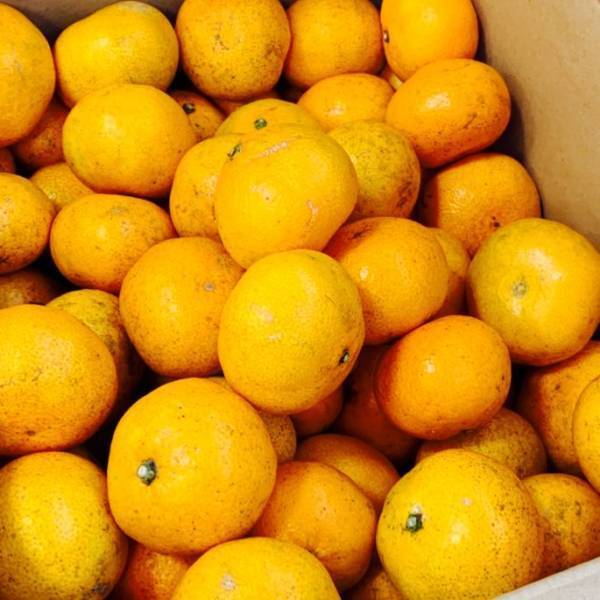 なんばCITY 南館2Fに 「KUMU ORGANIC MARKET」期間限定SHOPが 12月2日（金）よりオープン！