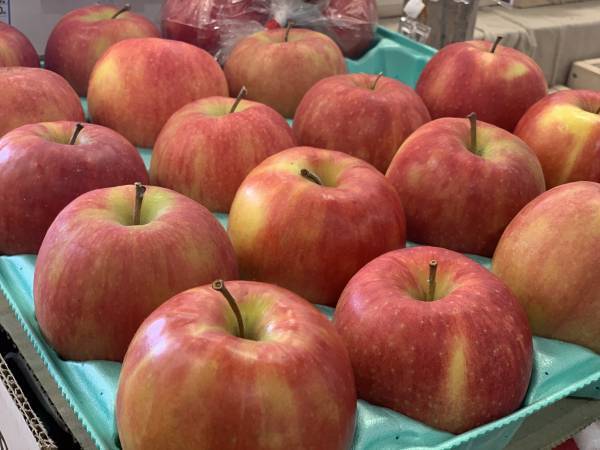 なんばCITY 南館2Fに 「KUMU ORGANIC MARKET」期間限定SHOPが 12月2日（金）よりオープン！