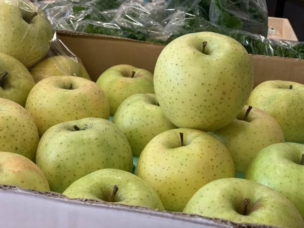 なんばCITY 南館2Fに 「KUMU ORGANIC MARKET」期間限定SHOPが 12月2日（金）よりオープン！