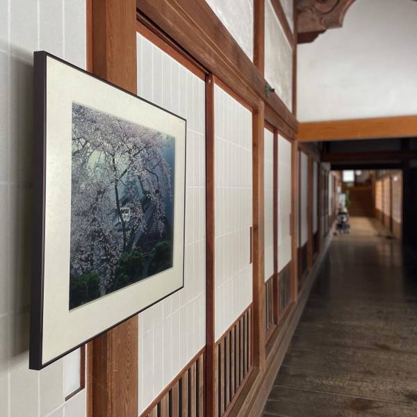 【清浄心院】写真家 永坂 嘉光『 自然の光に浮かび上がる写真展 』を開催いたします｜期間：令和4年2月1日～3月31日