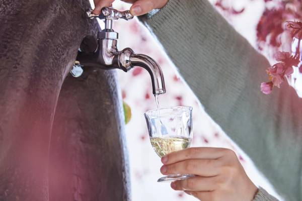 【リゾナーレ熱海】梅ジュースや梅酒の出る木が新登場！春の訪れを感じる「あたみ梅カフェ」で花見や梅スイーツを堪能｜期間：2023年1月6日～3月10日