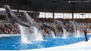 【ホテルハーヴェスト南紀田辺】日本一のジャイアントパンダファミリーに会いに行こう！アドベンチャーワールド入園券付き宿泊プラン