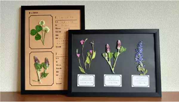 【スマホで簡単！】AIずかんアプリを活用した最先端デジタル自由研究！ 学研キッズネットに特集ページがオープン