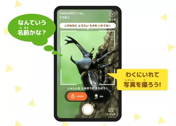 【スマホで簡単！】AIずかんアプリを活用した最先端デジタル自由研究！ 学研キッズネットに特集ページがオープン