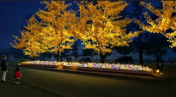 花々と太陽光イルミネーションで華やぐ！ 晩秋の駒沢オリンピック公園「花と光のムーブメント」11月11日スタート！