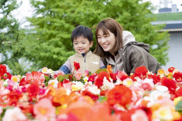 花々と太陽光イルミネーションで華やぐ！ 晩秋の駒沢オリンピック公園「花と光のムーブメント」11月11日スタート！
