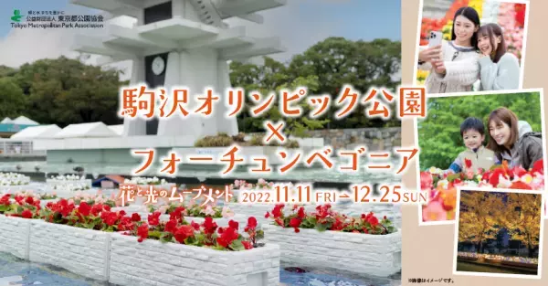 花々と太陽光イルミネーションで華やぐ！ 晩秋の駒沢オリンピック公園「花と光のムーブメント」11月11日スタート！