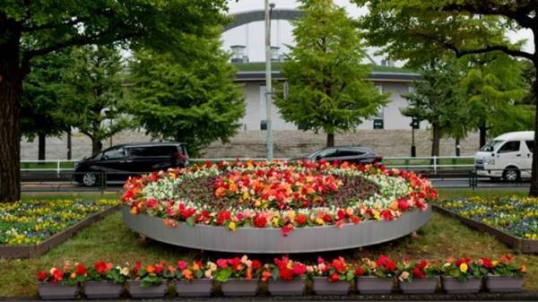 花々と太陽光イルミネーションで華やぐ！ 晩秋の駒沢オリンピック公園「花と光のムーブメント」11月11日スタート！