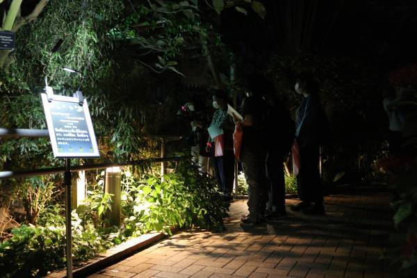 神代植物園「大温室夜間公開」の見どころをご紹介！8/13(土)８/14(日)だけの特別な空間へ。
