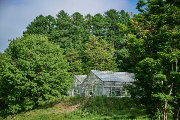 【ひらまつホテル】開業1周年の節目に、御代田や信州の生産者と共に食の喜びを届けるコラボレーション企画スタート。～THE HIRAMATSU 軽井沢 御代田～