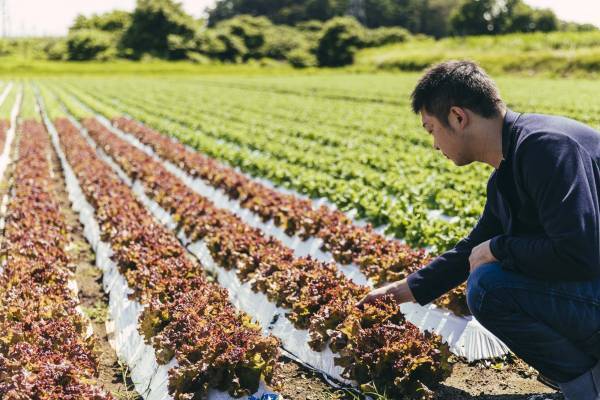 【ひらまつホテル】開業1周年の節目に、御代田や信州の生産者と共に食の喜びを届けるコラボレーション企画スタート。～THE HIRAMATSU 軽井沢 御代田～