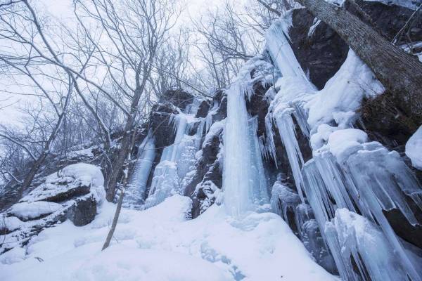 【奥入瀬渓流ホテル】白と青を基調とした「氷瀑クリスマスケーキ」「氷瀑カクテル」「氷瀑マカロン」が新登場 ～氷瀑をとことん楽しむ「氷瀑クリスマス」開催｜期間：2022年12月16日～25日