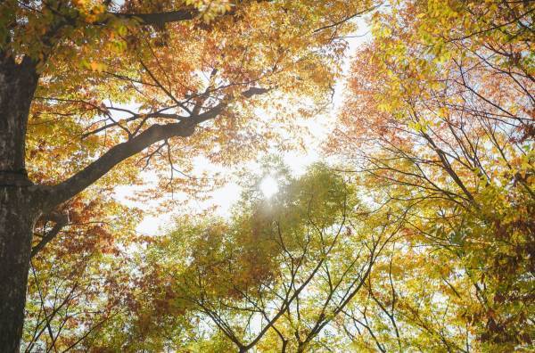 【11/27実施】第7回キテキテ府中マルシェ開催報告