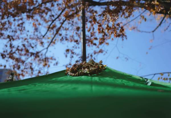 【11/27実施】第7回キテキテ府中マルシェ開催報告