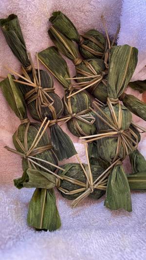 絶景の中で自由研究！【夏休みの宿題は白馬五竜高山植物園でととのう。】