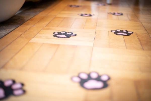 名古屋初！結婚式場で楽しむ“わんちゃん同伴可能”なアフタヌーンティー開始！ 乙女心をくすぐる、ファッションアイテム＆ピンクカラーモチーフのいちご満載スイーツに心ときめく『マイ・フェア・レディ アフタヌーンティー ～STRAWBERRY PINK～』販売