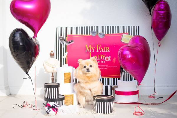 名古屋初！結婚式場で楽しむ“わんちゃん同伴可能”なアフタヌーンティー開始！ 乙女心をくすぐる、ファッションアイテム＆ピンクカラーモチーフのいちご満載スイーツに心ときめく『マイ・フェア・レディ アフタヌーンティー ～STRAWBERRY PINK～』販売