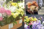 ～愛知県産の切り花、ミニブーケ、アレンジメントフワラーを1日限定で販売～『 STRINGS 花マルシェ～Flower Journey～ 』開催