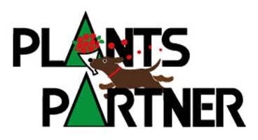 ～愛知県産の切り花、ミニブーケ、アレンジメントフワラーを1日限定で販売～『 STRINGS 花マルシェ～Flower Journey～ 』開催