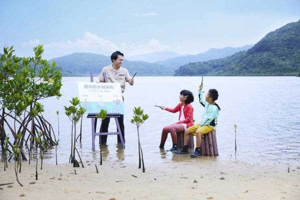 【西表島ホテル】マングローブについて知る自由研究プログラム 「マングローブ博士」開催｜期間：2022年7月1日～8月31日