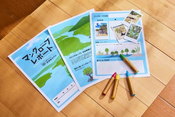 【西表島ホテル】マングローブについて知る自由研究プログラム 「マングローブ博士」開催｜期間：2022年7月1日～8月31日