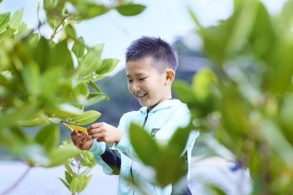 【西表島ホテル】マングローブについて知る自由研究プログラム 「マングローブ博士」開催｜期間：2022年7月1日～8月31日