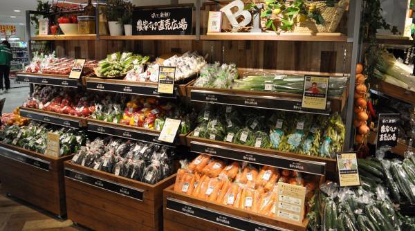 街にいながら自然を感じるくらし、もっと身近に。9/7（水）、セントラルスクエアなんば店別館に大型の「ビオラルコーナー」が誕生！