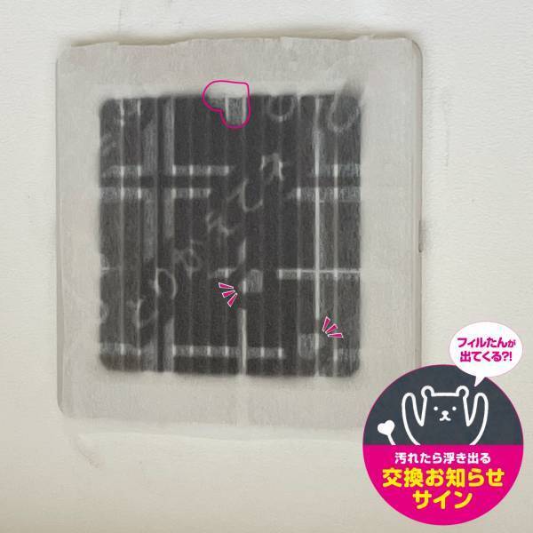 10月30日は、フィルターの妖精『フィルたん』の誕生日♥