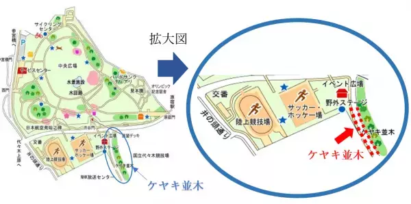 『青の洞窟 SHIBUYA』 2022年12月8日（木）～12月25日（日）