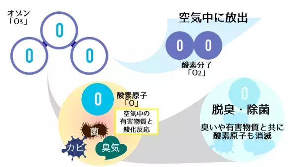 手のひらサイズの充電式消臭機capsule deodorizer「CD-01」がMakuakeに登場しました！