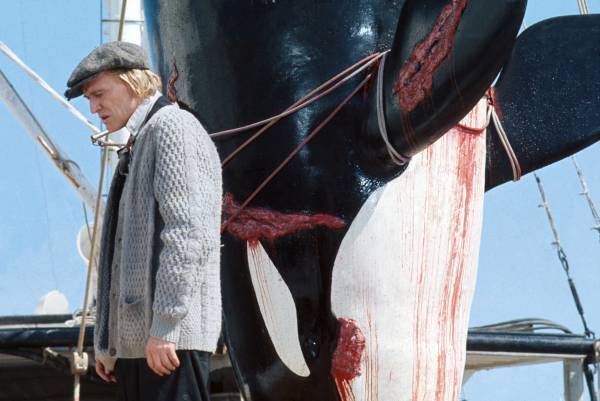 妻子を奪われた殺戮シャチの人間への復讐劇 「オルカ」 11月26日（土）よる7時～BS12 トゥエルビで放送