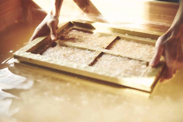 【青森屋】自分で漉(す)いたりんご輪紙(わし)を使ってりんご灯篭を作るアクティビティ 「私(わ)だげのりんごっこ作り」実施｜期間：2022年9月1日～11月28日