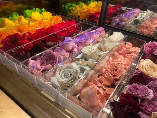 【松屋銀座本店】「2022年　春の感謝祭」を彩ります！