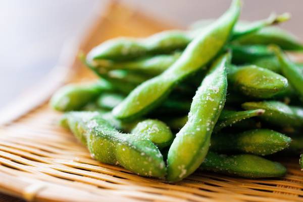 国立競技場で期間限定ナイトツアーを開始　ツアー参加者向けの「ビアテラス」も同時オープン！