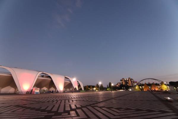 【駒沢オリンピック公園】12/25まで！昼夜楽しめる　特設花壇と太陽光発電イルミネーションの特別イベント「花と光のムーブメント」開催中