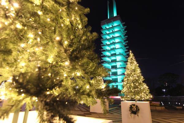 【駒沢オリンピック公園】12/25まで！昼夜楽しめる　特設花壇と太陽光発電イルミネーションの特別イベント「花と光のムーブメント」開催中