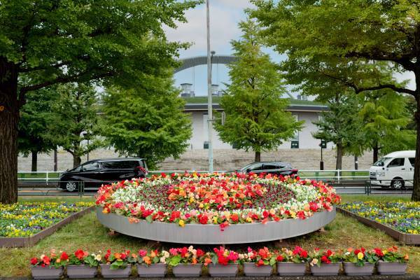 【駒沢オリンピック公園】12/25まで！昼夜楽しめる　特設花壇と太陽光発電イルミネーションの特別イベント「花と光のムーブメント」開催中