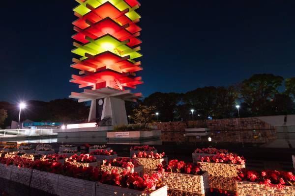 【駒沢オリンピック公園】12/25まで！昼夜楽しめる　特設花壇と太陽光発電イルミネーションの特別イベント「花と光のムーブメント」開催中