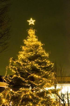 4年間で最大300万円の奨学金が給付される！特別スカラシップ入試出願受付中