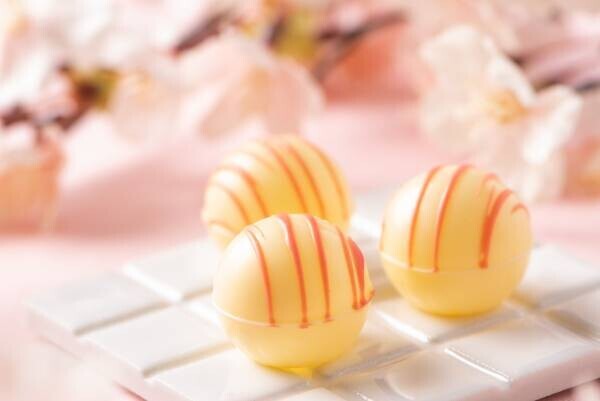 桜のはちみつを使用した春限定チョコレート、はちみつ専門メーカー直営「パティスリーQBG」にて発売！
