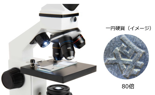 夏休みの自由研究にぴったり！ 生物顕微鏡「CM800」「CM1000C」を7月15日（金）発売