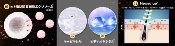 【期間限定キャンペーン】10月20日は「頭髪の日」 通常合計価格より約96.5％OFFの1,020円(税込)で提供！ 「HAIRMO頭髪ケアキャンペーン」を開催