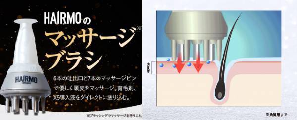 【期間限定キャンペーン】10月20日は「頭髪の日」 通常合計価格より約96.5％OFFの1,020円(税込)で提供！ 「HAIRMO頭髪ケアキャンペーン」を開催