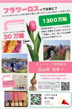 富山県初！30万輪のチューリップで彩る「TOYAMA SMILE FLOWER CARPET 2022」県内14会場で開催！