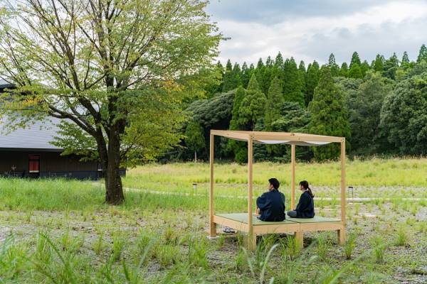 【界×株式会社フェリーさんふらわあ】一面に海を望む展望大浴場や「志布志茶」の飲み比べなど心と身体を解き放つ「かごんま解放船旅プラン」登場｜期間：2022年10月1日～2023年3月29日