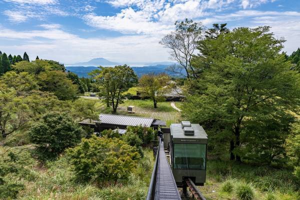 【界×株式会社フェリーさんふらわあ】一面に海を望む展望大浴場や「志布志茶」の飲み比べなど心と身体を解き放つ「かごんま解放船旅プラン」登場｜期間：2022年10月1日～2023年3月29日