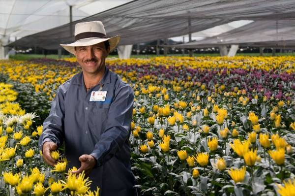 『Reconnect』－ 日本とつながるコロンビアの花 －