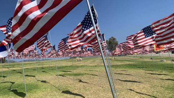 【鳥取から世界トップ大学へ】日本の高校卒業後、世界8位カリフォルニア大学バークレー校へ編入学を果たす