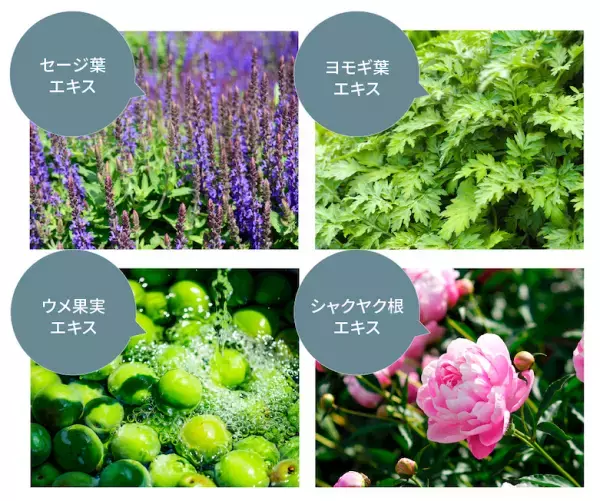 高橋愛 プロデュースコスメ『Aimmx（アイムミクス）アイブロウジェル&眉毛美容液』 2022年11月7日発売 ／ 10月3日楽天先行予約開始